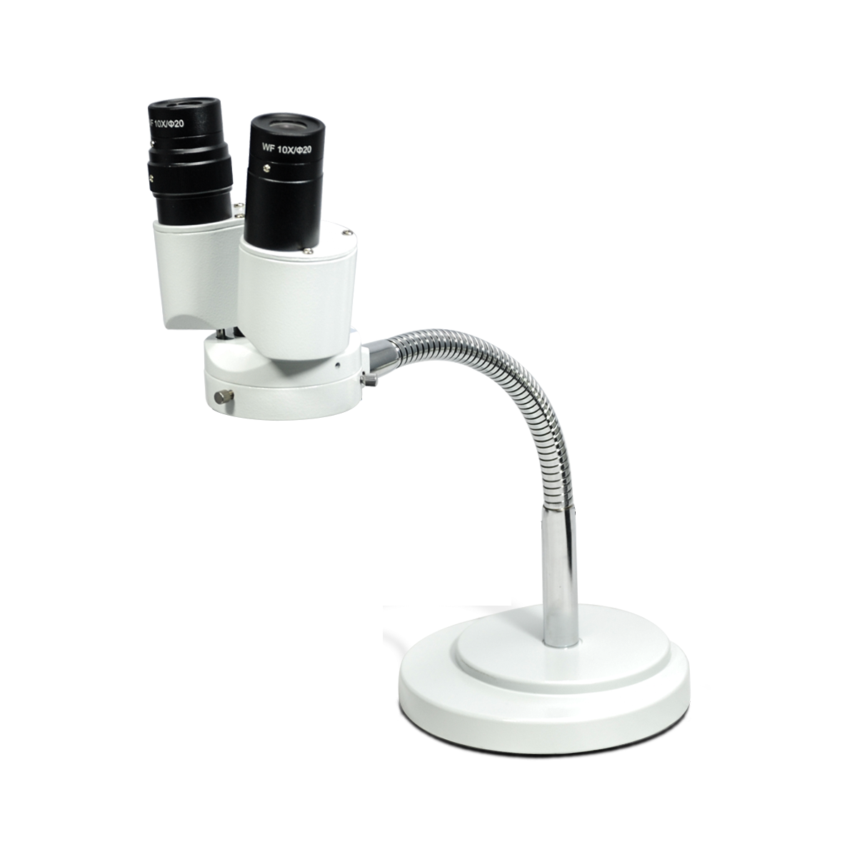 Stereo Microscope